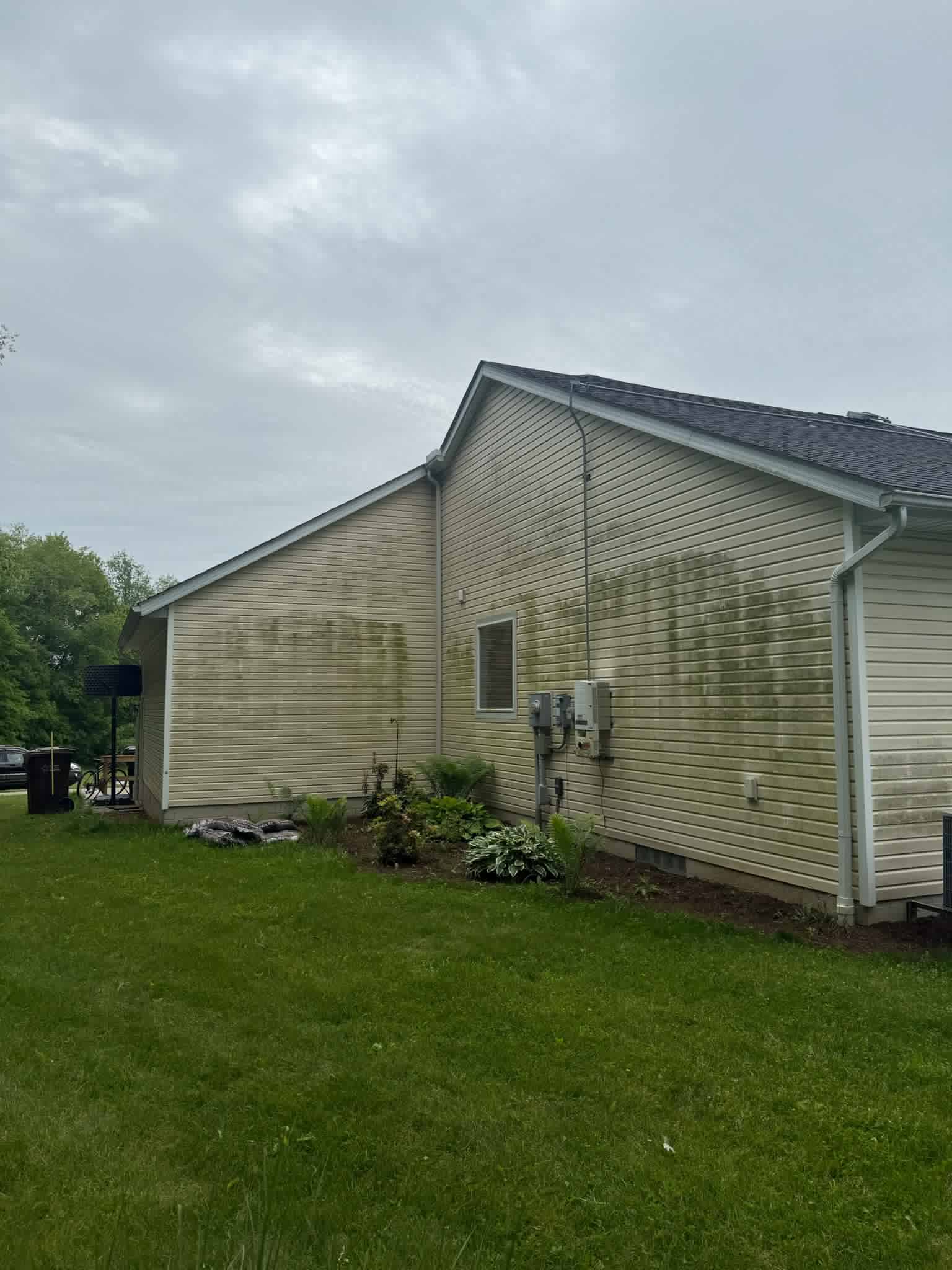 Before image