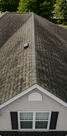 Before image